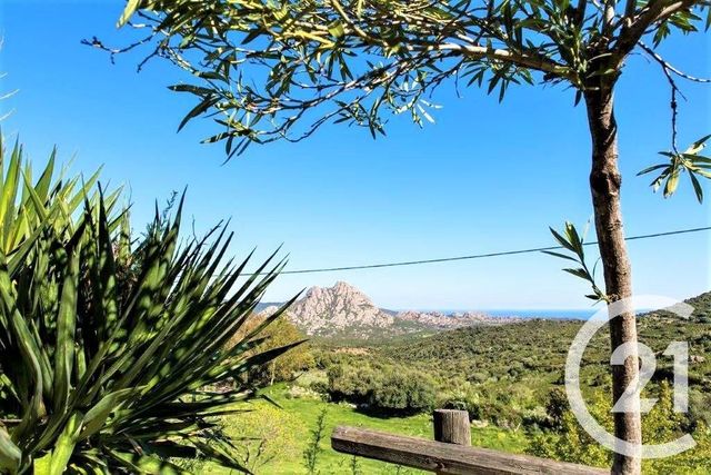 maison à vendre - 12 pièces - 438.96 m2 - ST FLORENT - 20 - CORSE - Century 21 Dary Immobilier