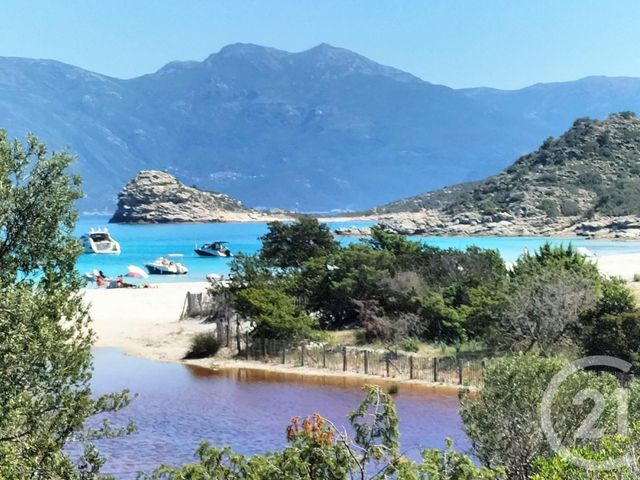 maison à vendre - 12 pièces - 438.96 m2 - ST FLORENT - 202 - CORSE - Century 21 Dary Immobilier