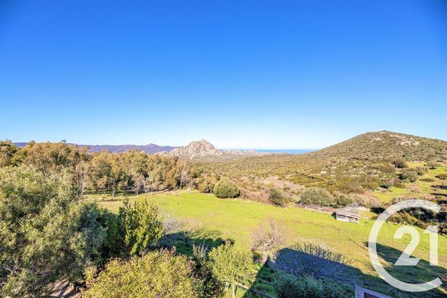 maison à vendre - 17 pièces - 677.96 m2 - ST FLORENT - 20 - CORSE - Century 21 Dary Immobilier