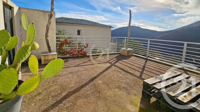 maison à vendre - 5 pièces - 149.08 m2 - SANTA MARIA DI LOTA - 202 - CORSE - Century 21 Dary Immobilier