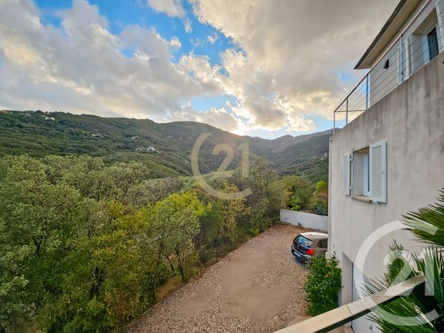 maison à vendre - 5 pièces - 149.08 m2 - SANTA MARIA DI LOTA - 202 - CORSE - Century 21 Dary Immobilier