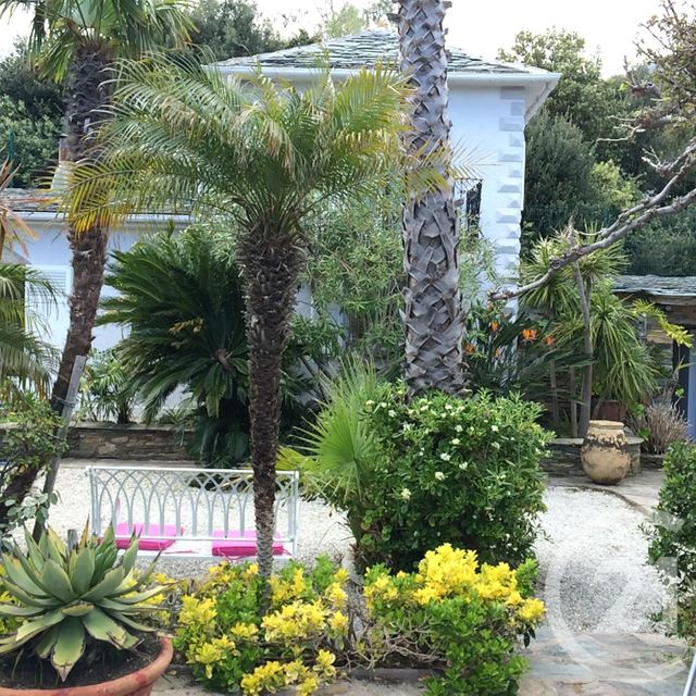 maison à vendre - 7 pièces - 173.61 m2 - BRANDO - 202 - CORSE - Century 21 Dary Immobilier