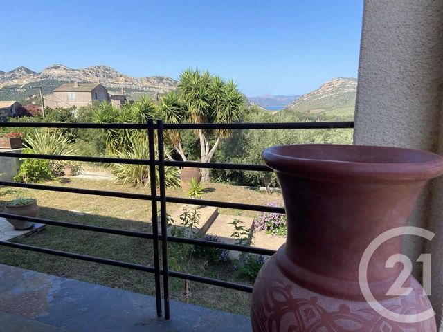 maison à vendre - 7 pièces - 261.3 m2 - PATRIMONIO - 202 - CORSE - Century 21 Dary Immobilier