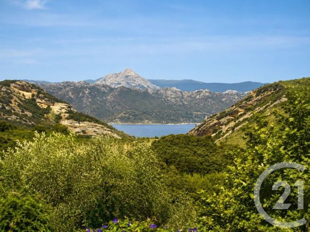 maison à vendre - 7 pièces - 261.3 m2 - PATRIMONIO - 202 - CORSE - Century 21 Dary Immobilier
