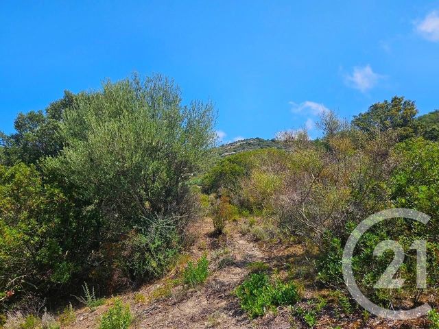 Appartement T4 à vendre - 4 pièces - 77.0 m2 - OLETTA - 202 - CORSE - Century 21 Dary Immobilier