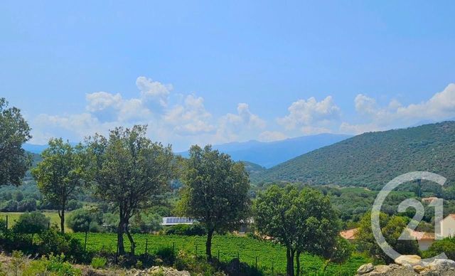 Appartement T4 à vendre - 4 pièces - 77.0 m2 - OLETTA - 202 - CORSE - Century 21 Dary Immobilier