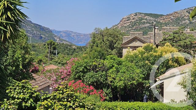 maison à vendre - 8 pièces - 224.0 m2 - PATRIMONIO - 202 - CORSE - Century 21 Dary Immobilier