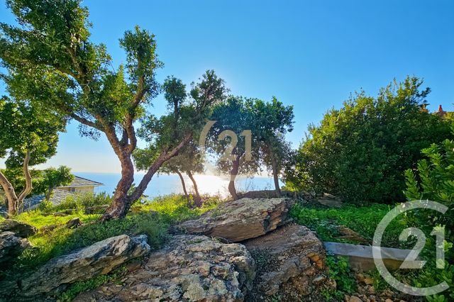 maison à vendre - 6 pièces - 181.91 m2 - SAN MARTINO DI LOTA - 202 - CORSE - Century 21 Dary Immobilier