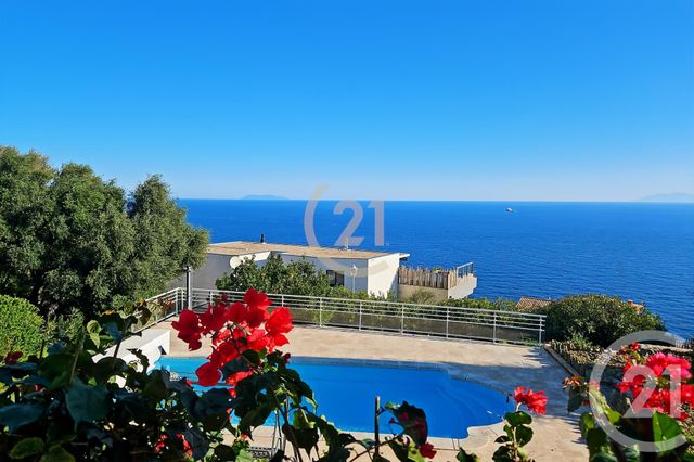 maison à vendre - 6 pièces - 181.91 m2 - SAN MARTINO DI LOTA - 202 - CORSE - Century 21 Dary Immobilier