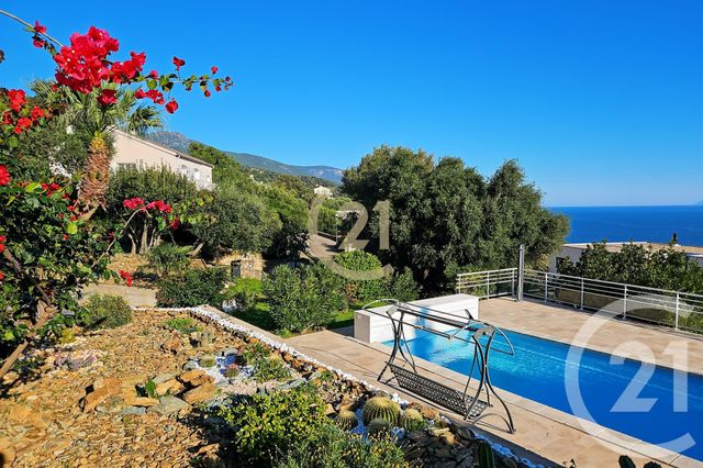 maison à vendre - 6 pièces - 181.91 m2 - SAN MARTINO DI LOTA - 202 - CORSE - Century 21 Dary Immobilier