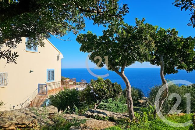 maison à vendre - 6 pièces - 181.91 m2 - SAN MARTINO DI LOTA - 202 - CORSE - Century 21 Dary Immobilier