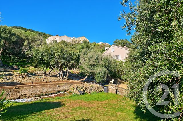 maison à vendre - 6 pièces - 181.91 m2 - SAN MARTINO DI LOTA - 202 - CORSE - Century 21 Dary Immobilier
