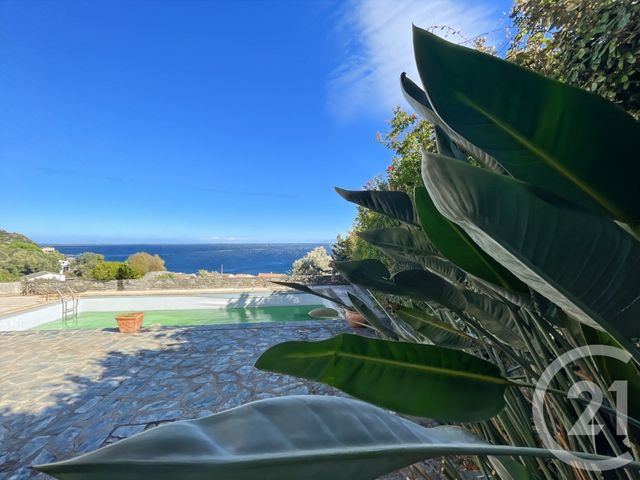 Afficher la photo en grand maison à vendre - 6 pièces - 261.21 m2 - SANTA MARIA DI LOTA - 202 - CORSE - Century 21 Dary Immobilier