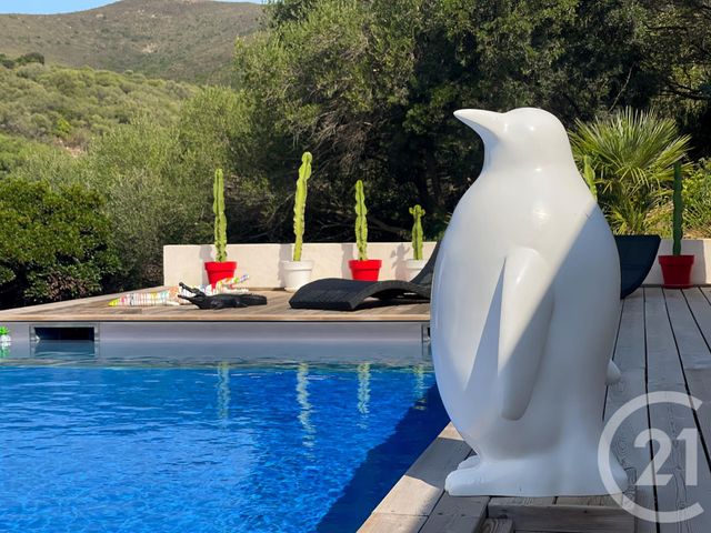 maison à vendre - 5 pièces - 188.33 m2 - PALASCA - 202 - CORSE - Century 21 Dary Immobilier