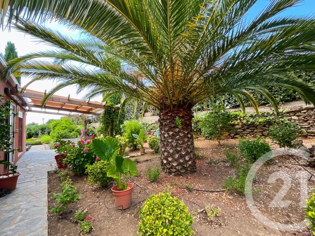 maison à vendre - 6 pièces - 156.29 m2 - OLETTA - 202 - CORSE - Century 21 Dary Immobilier