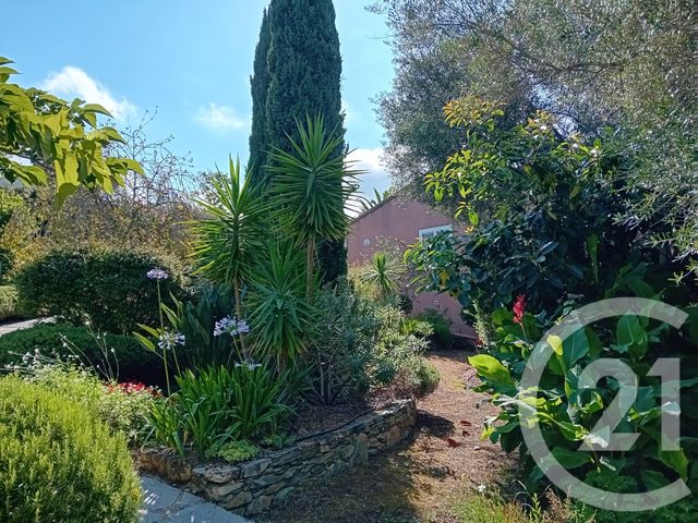 maison à vendre - 6 pièces - 156.29 m2 - OLETTA - 202 - CORSE - Century 21 Dary Immobilier