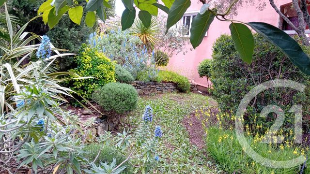 maison à vendre - 6 pièces - 156.29 m2 - OLETTA - 202 - CORSE - Century 21 Dary Immobilier