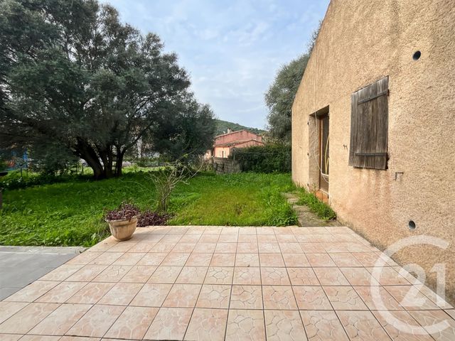 appartement - OLETTA - 202