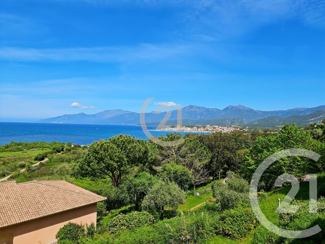 Appartement T2 à vendre - 2 pièces - 36.93 m2 - ST FLORENT - 202 - CORSE - Century 21 Dary Immobilier