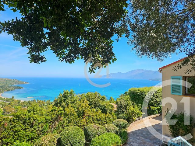 Afficher la photo en grand maison à vendre - 6 pièces - 160.0 m2 - ST FLORENT - 202 - CORSE - Century 21 Dary Immobilier