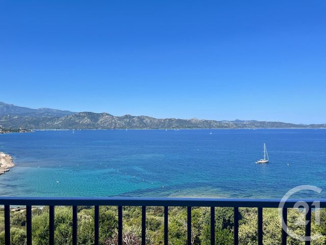 appartement - PATRIMONIO - 202