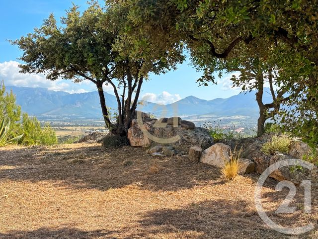 maison à vendre - 5 pièces - 146.0 m2 - LUMIO - 202 - CORSE - Century 21 Dary Immobilier