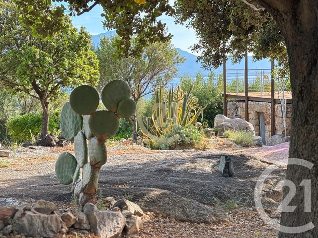 maison à vendre - 5 pièces - 146.0 m2 - LUMIO - 202 - CORSE - Century 21 Dary Immobilier
