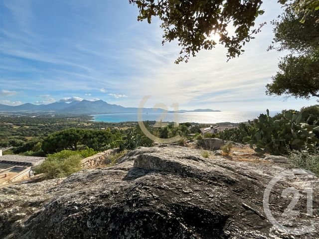 maison à vendre - 5 pièces - 146.0 m2 - LUMIO - 202 - CORSE - Century 21 Dary Immobilier