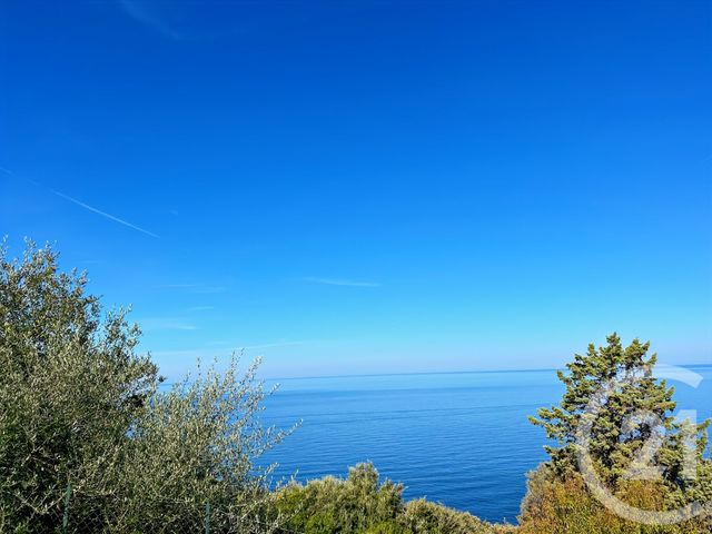 terrain à vendre - 2039.0 m2 - CANARI - 202 - CORSE - Century 21 Dary Immobilier