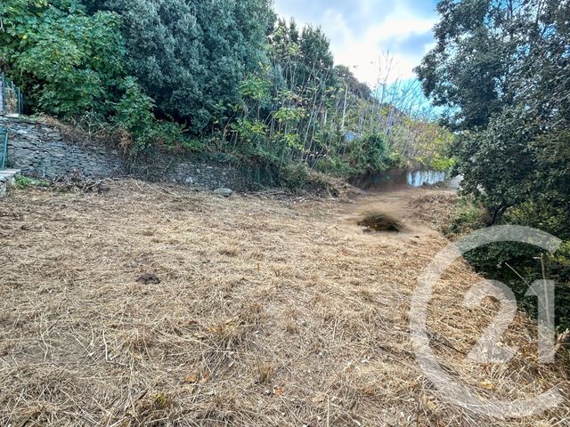 terrain à vendre - 2039.0 m2 - CANARI - 202 - CORSE - Century 21 Dary Immobilier