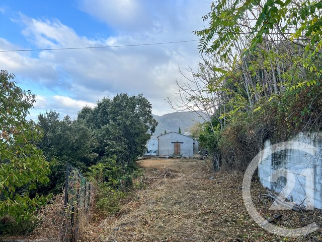 terrain à vendre - 2039.0 m2 - CANARI - 202 - CORSE - Century 21 Dary Immobilier