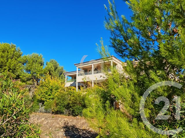 Appartement T2 à vendre - 2 pièces - 40.49 m2 - PATRIMONIO - 202 - CORSE - Century 21 Dary Immobilier