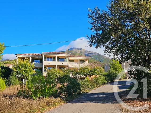 Appartement T2 à vendre - 2 pièces - 40.49 m2 - PATRIMONIO - 202 - CORSE - Century 21 Dary Immobilier