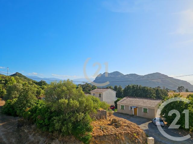 Appartement T2 à vendre - 2 pièces - 40.49 m2 - PATRIMONIO - 202 - CORSE - Century 21 Dary Immobilier