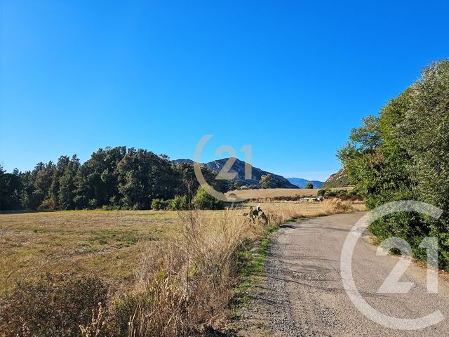 Appartement T2 à vendre - 2 pièces - 40.49 m2 - PATRIMONIO - 202 - CORSE - Century 21 Dary Immobilier