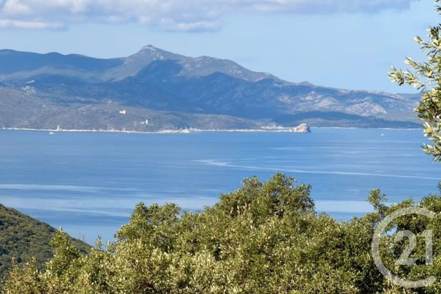 maison à vendre - 2 pièces - 53.0 m2 - FARINOLE - 202 - CORSE - Century 21 Dary Immobilier