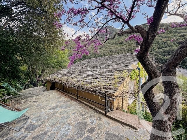 maison à vendre - 7 pièces - 173.5 m2 - OLMETA DI CAPOCORSO - 202 - CORSE - Century 21 Dary Immobilier