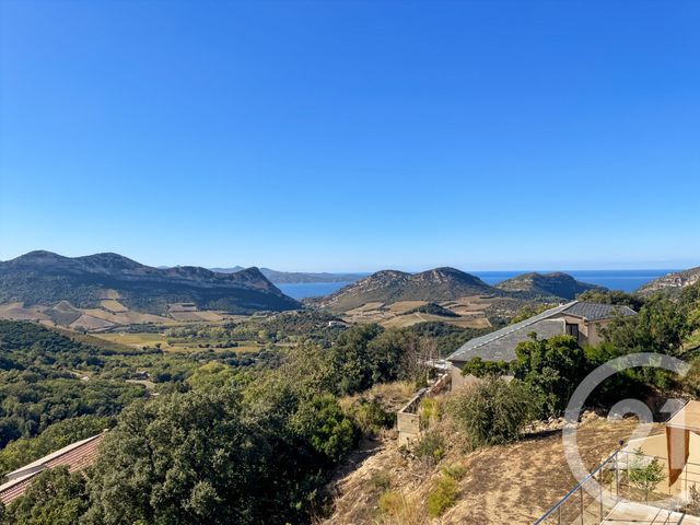 maison à vendre - 4 pièces - 149.3 m2 - BARBAGGIO - 202 - CORSE - Century 21 Dary Immobilier