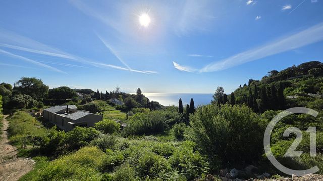appartement - BASTIA - 202