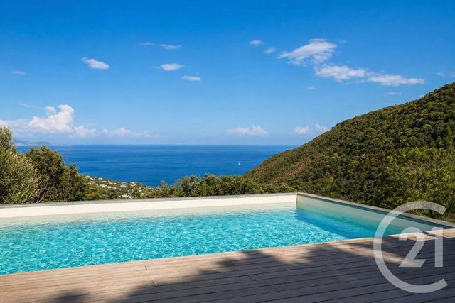 maison à vendre - 9 pièces - 262.24 m2 - SAN MARTINO DI LOTA - 202 - CORSE - Century 21 Dary Immobilier
