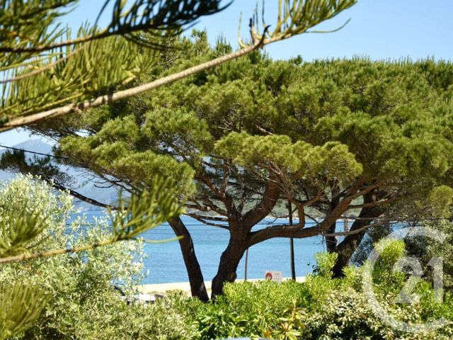 maison à vendre - 12 pièces - 420.0 m2 - ST FLORENT - 202 - CORSE - Century 21 Dary Immobilier