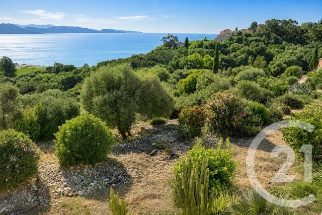 Appartement T3 à vendre - 3 pièces - 75.69 m2 - ST FLORENT - 202 - CORSE - Century 21 Dary Immobilier