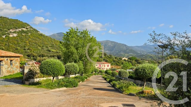 Appartement à vendre - 3 pièces - 60.83 m2 - OLETTA - 202 - CORSE - Century 21 Dary Immobilier