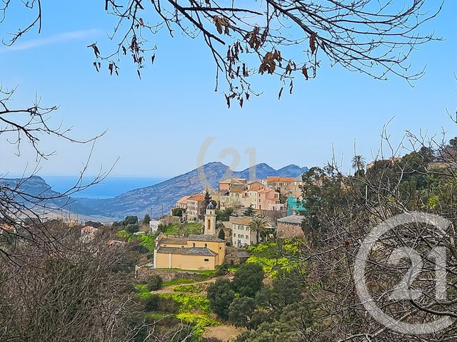 maison à vendre - 3 pièces - 38.94 m2 - OLETTA - 202 - CORSE - Century 21 Dary Immobilier
