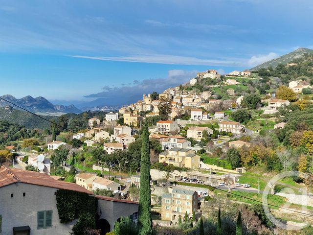 maison - OLETTA - 20