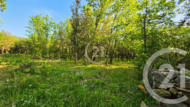 terrain - BARBAGGIO - 202