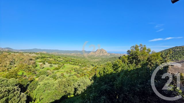 Appartement à vendre - 2 pièces - 24.58 m2 - SANTO PIETRO DI TENDA - 202 - CORSE - Century 21 Dary Immobilier