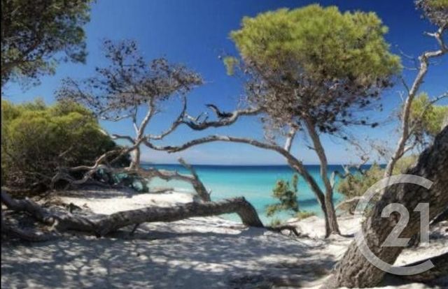 maison à vendre - 3 pièces - 40.08 m2 - OLETTA - 202 - CORSE - Century 21 Dary Immobilier