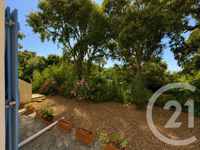maison à vendre - 6 pièces - 159.86 m2 - OLETTA - 202 - CORSE - Century 21 Dary Immobilier