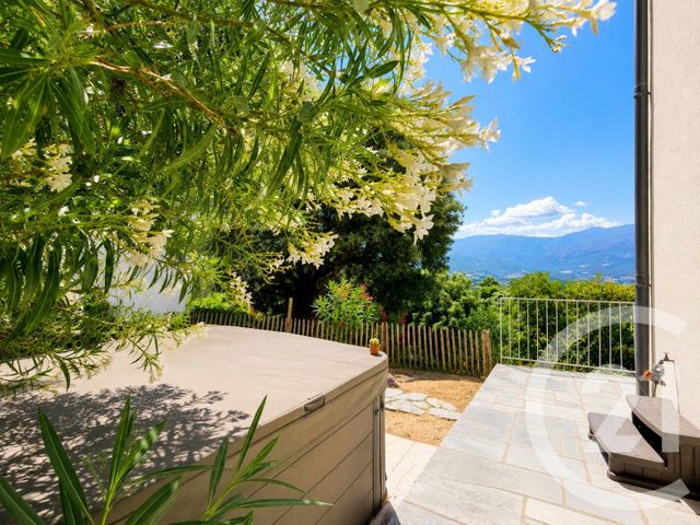 maison à vendre - 5 pièces - 162.0 m2 - POGGIO D OLETTA - 202 - CORSE - Century 21 Dary Immobilier